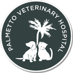 Palmetto Veterinary Hospital logo