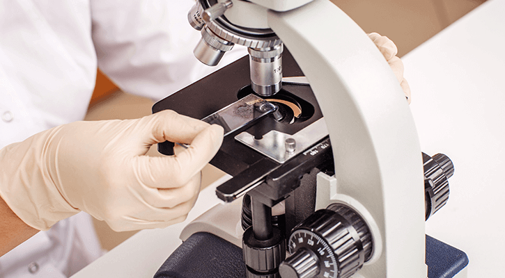 Veterinarian examining a sample in our in-house pet lab