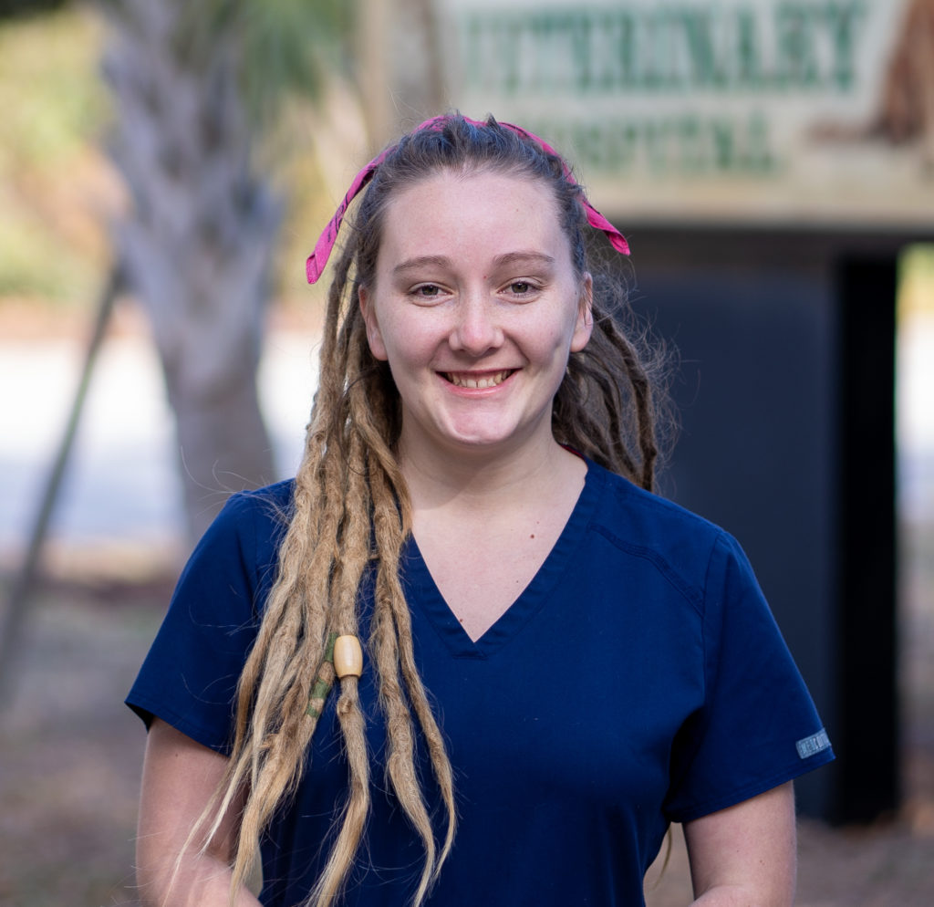 Rachel H. Palmetto Veterinary Hospital in Mount Pleasant