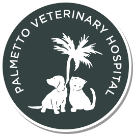 Palmetto Veterinary Hospital